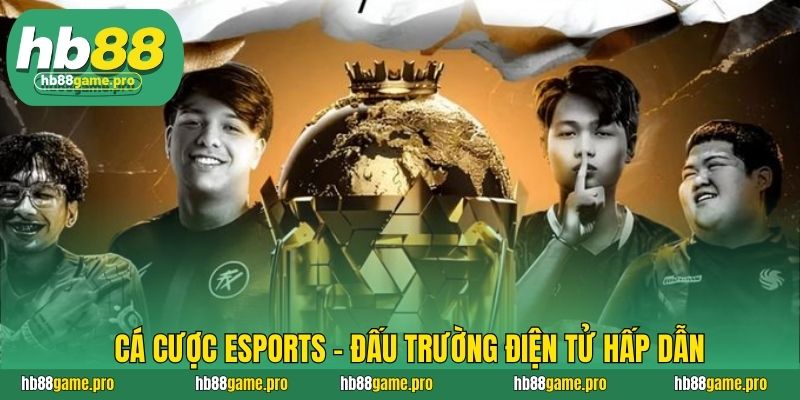 HB88 55 Cá cược eSports – Đấu trường điện tử hấp dẫn